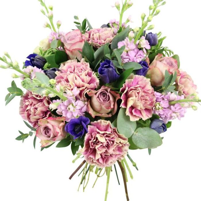 Photographed against a clean white backdrop, this abundant hand-tied bouquet showcases a refined blend of colour and form, as if it has just been arranged for a special gathering in an Enfield townhouse. At the centre, fully opened garden roses in shades of blush, dusty rose, and muted mauve reveal layers upon layers of soft petals, spiralling inward to create a naturally romantic focal point. Around them, generous ruffled carnations bloom with intricate fringed edges, their petals moving from creamy beige and pale blush at the base into deeper rose-pink and plum tones at the tips, providing volume and a sense of gentle movement. Interspersed among these are dramatic deep indigo and royal blue flowers, appearing as tight tulip-like buds and open anemone-style blooms with dark, almost black centres, bringing striking depth and richness to the palette. Clusters of lilac and pale lavender stock rise gracefully, each slender stem adorned with numerous small blossoms that introduce light, airy texture and elegant vertical lines. Enveloping the bouquet is a varied collar of foliage: lush dark green leaves for structure and fullness, softened by the cool, rounded discs of silvery eucalyptus that suggest a soft, refreshing fragrance. The hand-tied stems are clearly visible at the base, neatly gathered to show the craftsmanship and freshness of the design, ready for same-day delivery around Enfield, from bustling Church Street to quieter residential roads near Forty Hall. The overall composition, rich in pinks, purples, blues, and greens, evokes sophistication and warmth, well-suited for anniversaries, weddings, or any occasion that calls for a thoughtful, elegant floral gesture.